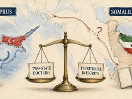 Türkiye’s Double Standard Opens a Door for Somaliland Türkiye’s Double Standard Opens a Door for Somaliland