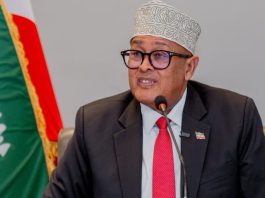 An Open Letter to H.E. Abdirahman Mohamed Abdullahi (Irro), President of the Republic of Somaliland An Open Letter to H.E. Abdirahman Mohamed Abdullahi (Irro), President of the Republic of Somaliland