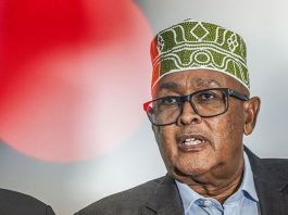 Irro’s Red Sea Gambit: Somaliland Offers Security as the Price of Recognition