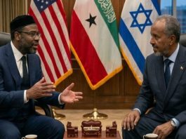 Somaliland President Irro Urged to Build an Asset-Backed Financial Architecture
