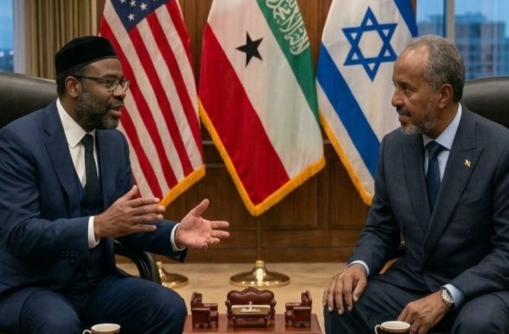 Somaliland President Irro Urged to Build an Asset-Backed Financial Architecture