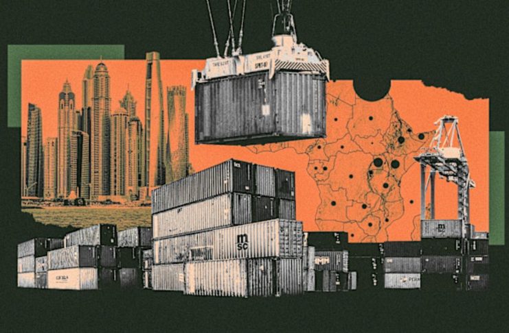Somaliland’s Berbera Port Emerges as a Strategic Hub in the UAE’s African Push