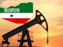 Somaliland’s Buried Fortune: Geology, Politics and Strategic Ambitions