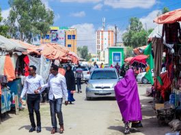 Somaliland’s Strategic Importance Breaks Through the Wall of Anonymity