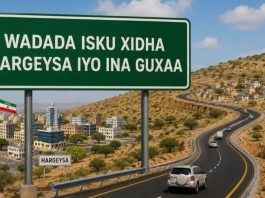 World Bank’s $56M Somaliland Road Project Under Fire as Elite Capture Threatens Berbera Corridor