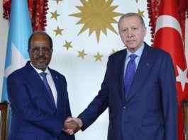 “Turkey Is Looting Somalia”: Somali MP Attacks Erdogan’s Influence Turkey Is Looting Somalia, Somali MP Attacks Erdogan’s Influence